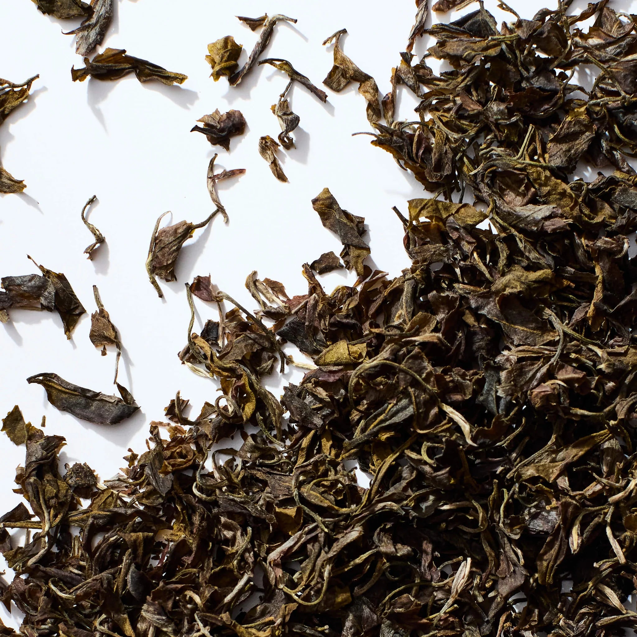 Darjeeling Purple tea