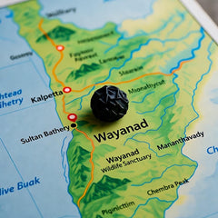 Pimienta Negra Deshidratada