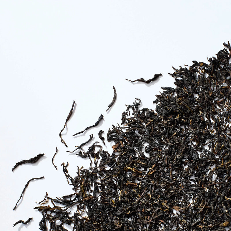 Sikkim Black Cosmos