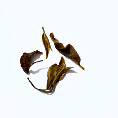 Darjeeling Purple tea