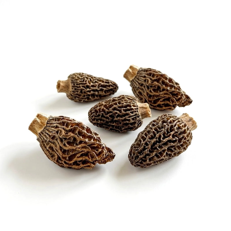 MORILLES SÉCHÉES SPÉCIALES