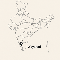 Pimienta Negra Deshidratada